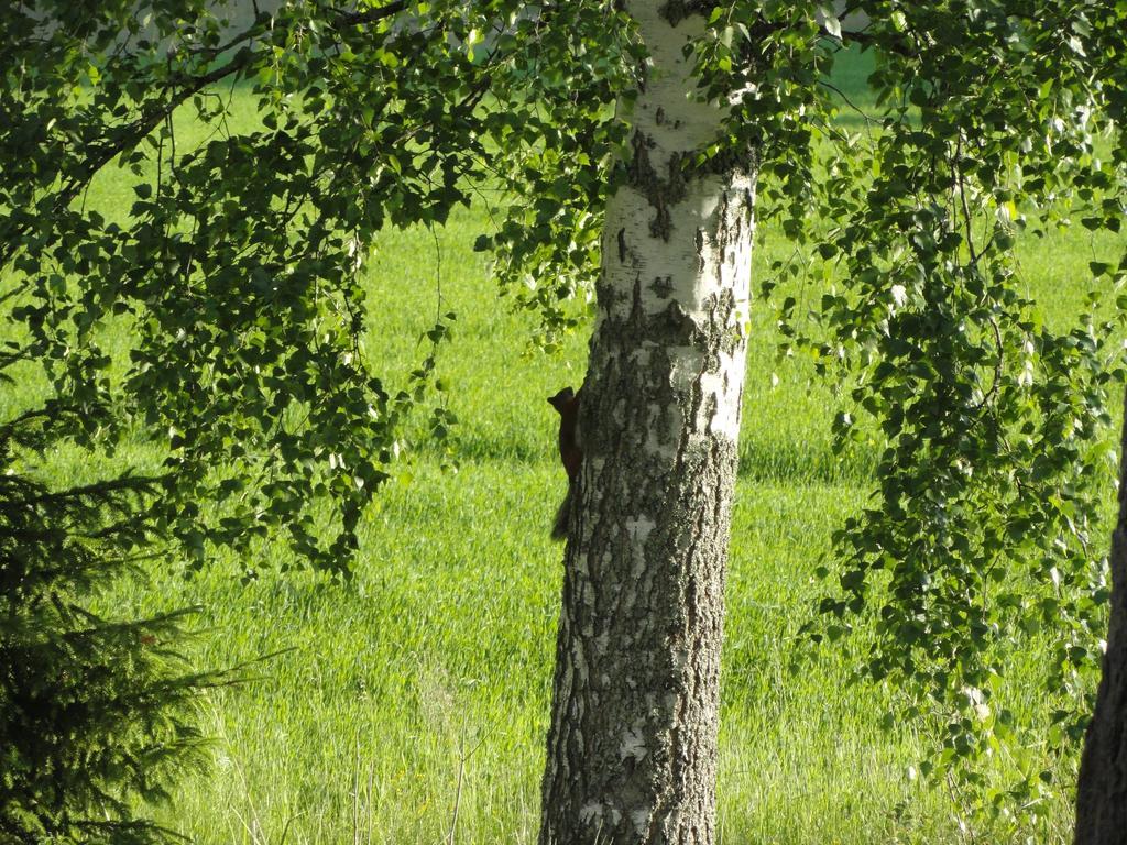 Kalliomajat Ylivalli Zewnętrze zdjęcie